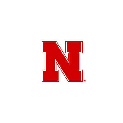 A bold red letter "N" with a white and red outline on a white background.